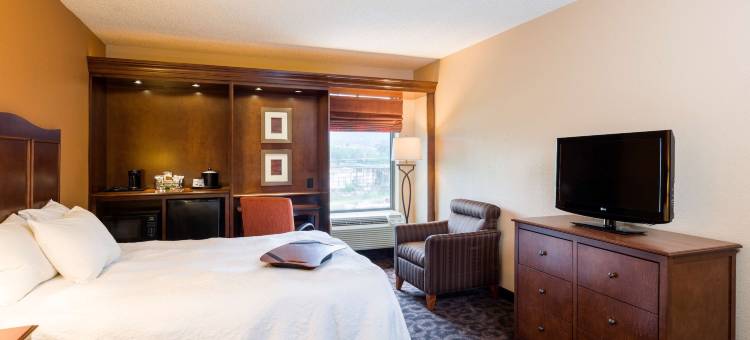 希尔顿欢朋酒店-丹维尔(Hampton Inn Danville)图片