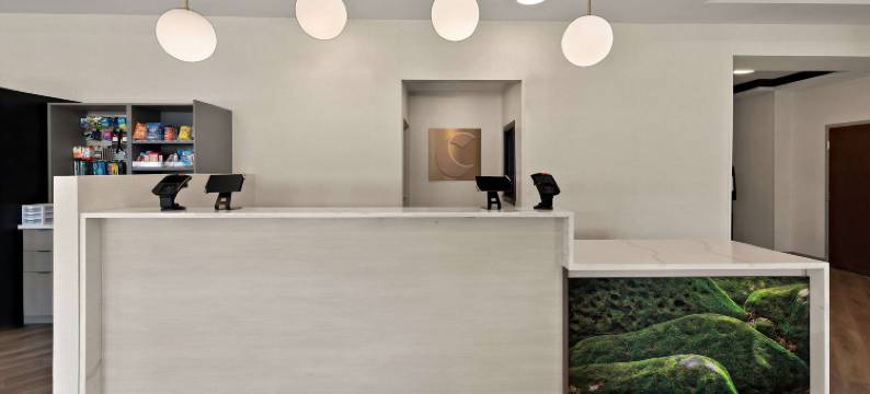 易斯特布罗德270舒适套房酒店(Comfort Suites Columbus East Broad)图片