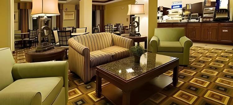 智选假日套房酒店德里斯(Holiday Inn Express & Suites Childress)图片