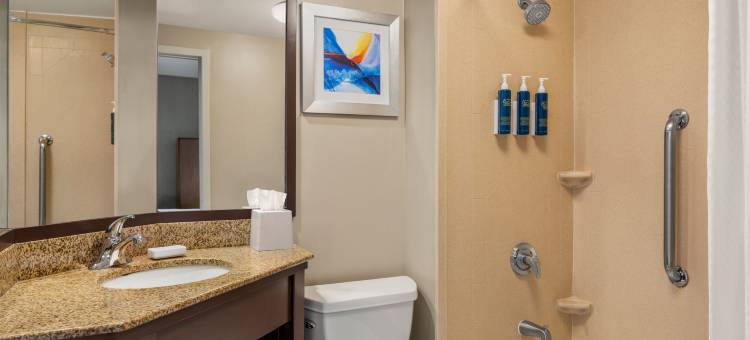 芝加哥韦斯贾斯特 - 橡树溪福朋喜来登酒店(Four Points by Sheraton Chicago Westchester/Oak Brook)图片