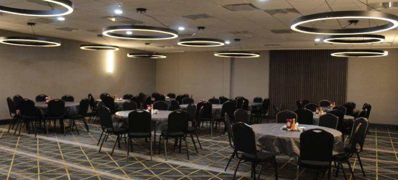 达拉斯市场中心爱田假日酒店(Holiday Inn DALLAS MARKET CTR LOVE FIELD by IHG)图片