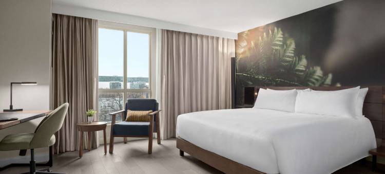 诺富特多伦多中心酒店(The Novotel Toronto Centre)图片