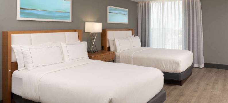 迈阿密北 I-95 希尔顿逸林酒店(DoubleTree by Hilton Miami North I-95)图片