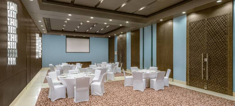 福朋喜来登-艾因(Four Points by Sheraton Al Ain)图片