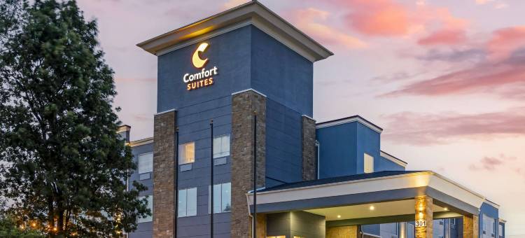 舒适全套房酒店(Comfort Suites)图片