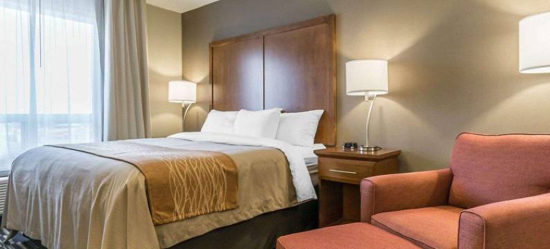 舒适套房酒店-埃德蒙顿国际机场(Comfort Inn & Suites Edmonton International Airport)图片