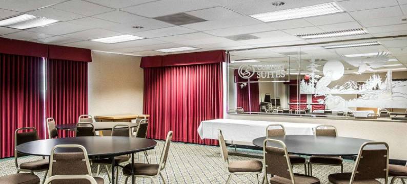 克拉克马斯舒适套房酒店(Comfort Suites)图片