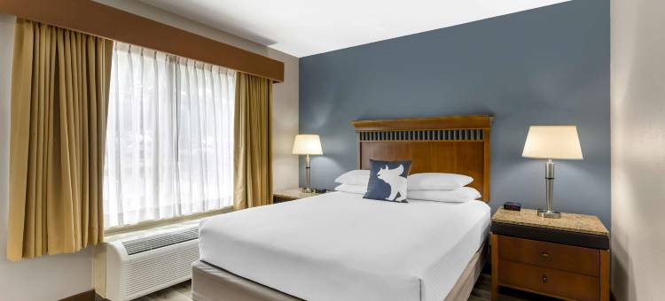 丹佛市西南贝斯特韦斯特酒店(Best Western Denver Southwest)图片