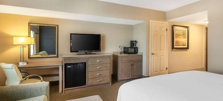 山迪木棉树贝斯特韦斯特优质酒店(Best Western Plus Cotton Tree Inn)图片