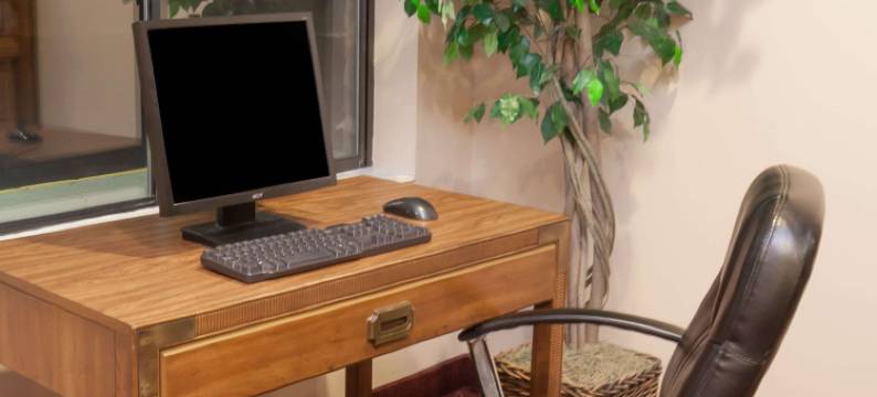 新布法罗温德姆呗盟酒店(Baymont by Wyndham New Buffalo)图片