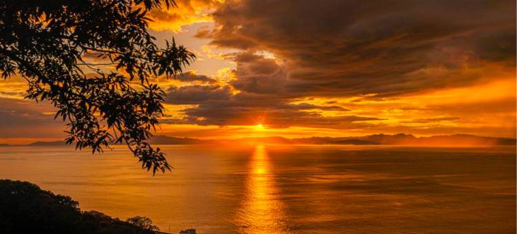 寿乐(Juraku)图片