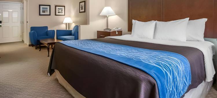狄克逊凯艺套房酒店 - 近 I-88(Quality Inn & Suites Dixon Near I-88)图片