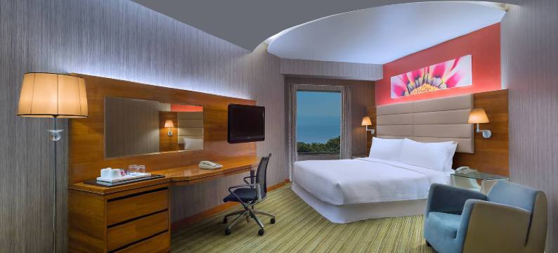 维沙卡帕特南福朋喜来登酒店(Four Points by Sheraton Visakhapatnam)图片