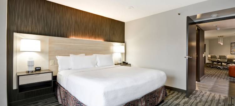 希尔顿安泊酒店-夏洛特(Embassy Suites by Hilton Charlotte)图片