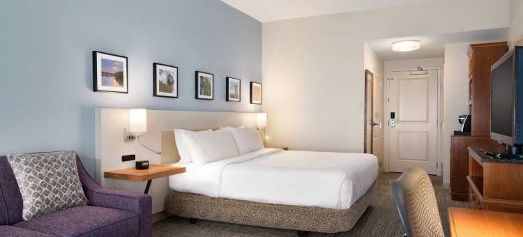 威克斯巴勒希尔顿花园酒店(Hilton Garden Inn Wilkes Barre)图片