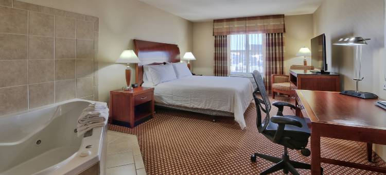 拉斯克鲁塞斯希尔顿花园酒店(Hilton Garden Inn Las Cruces)图片