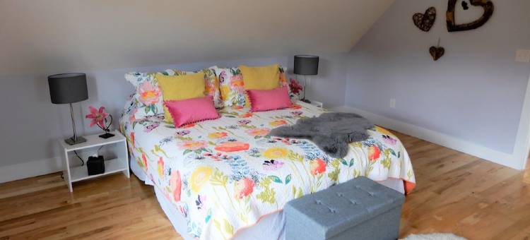 Stunning brand new 2 bedroom Loft amidst nature图片