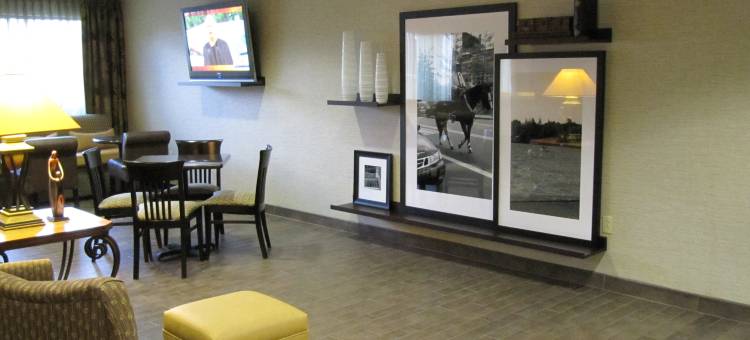 希尔顿欢朋酒店-泰勒林代尔(Hampton Inn Lindale/Tyler Area)图片