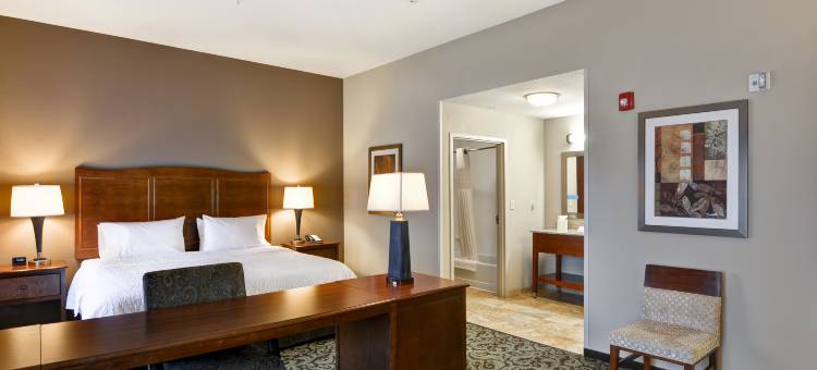 新哈特福德欢朋套房酒店(Hampton Inn & Suites New Hartford)图片