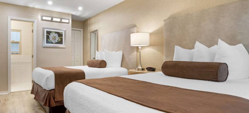 卡布里洛花园贝斯特韦斯特酒店(Best Western Cabrillo Garden Inn)图片