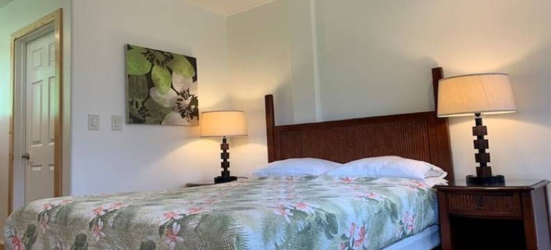 Stay in Hana #1图片