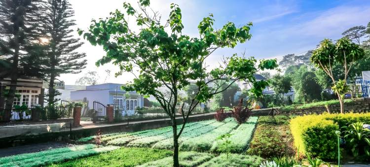 大叻巧克力家庭旅馆(Dalat Chocolate Homestay)图片