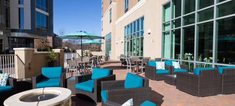 阿什维尔市区希尔顿花园酒店(Hilton Garden Inn Asheville Downtown)图片