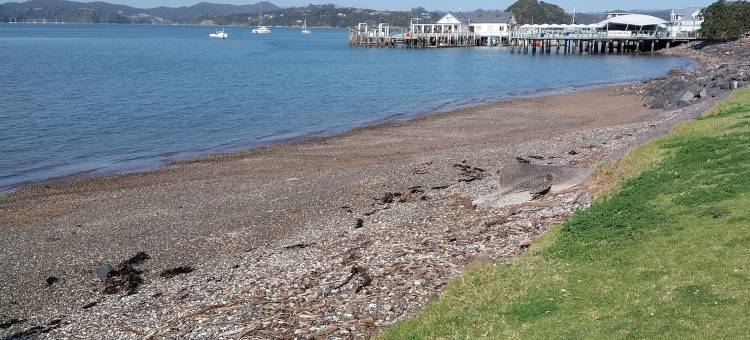 湾景汽车旅馆(Bayview Motel)图片