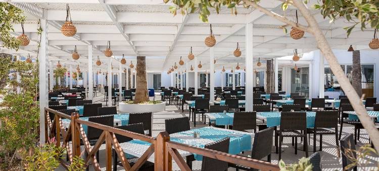 吉尔巴岛棕榈海滩俱乐部(Palm Beach Club Djerba)图片