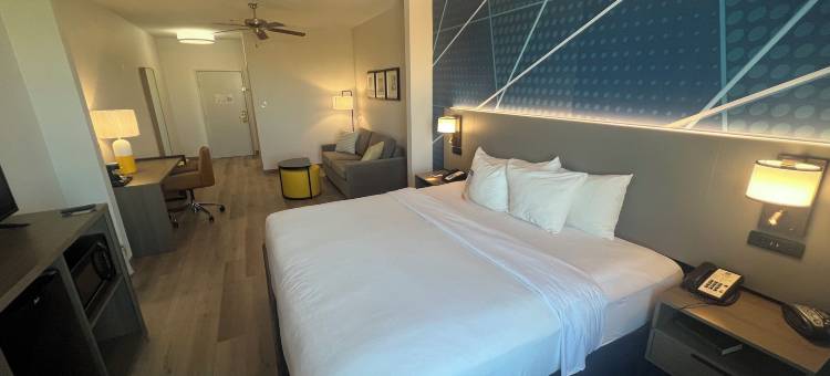 圣安吉洛舒适套房酒店-近大学(Comfort Suites San Angelo Near University)图片