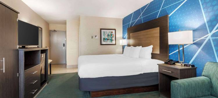 舒适酒店达拉斯北爱情机场(Comfort Inn Dallas North Love Field Airport)图片