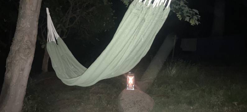 瑞士丹斯瓦豪小屋(Residens Svalhøj)图片