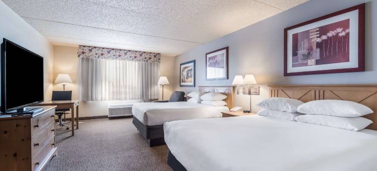 西菲尼克斯古德伊尔红狮套房酒店(Red Lion Inn & Suites Goodyear Phoenix)图片