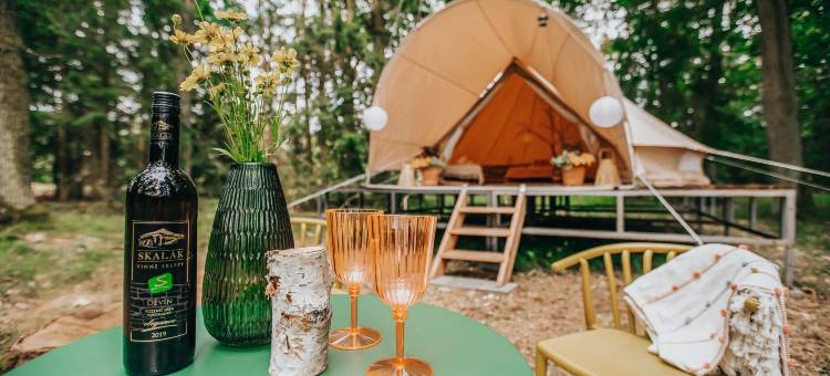 Černická obora豪华露营(Glamping Černická Obora)图片