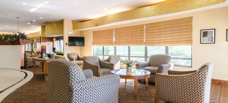 南萨莱纳舒适套房酒店(Comfort Suites Salina South)图片