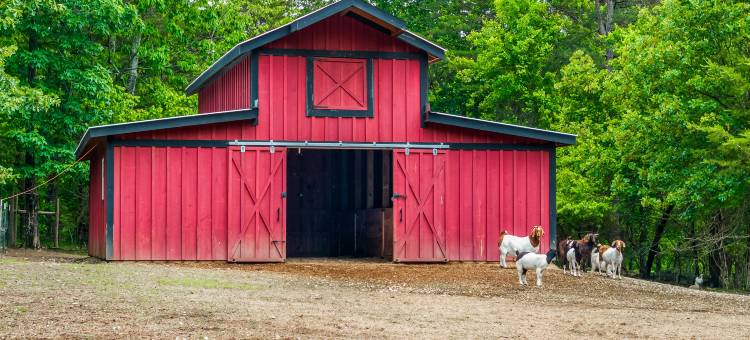 Charming Cottage with Fire Pit and Scenic Views - Tranquil Farm Escape图片