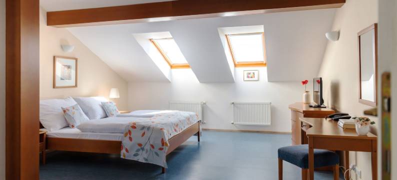 布拉格西贝柳斯公寓 - 新艺术主义1902(Sibelius Apartments Prague - Art Nouveau Residence 1902)图片