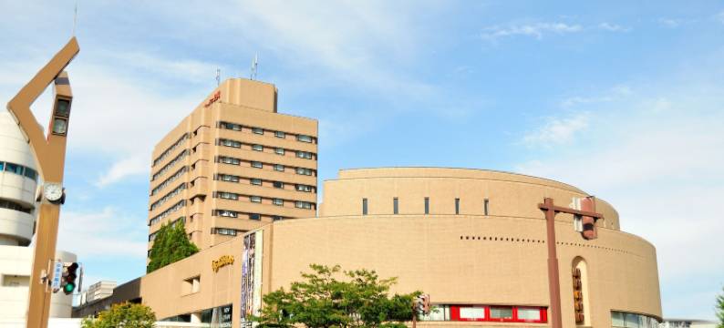 长冈新大谷酒店(Hotel New Otani Nagaoka)图片