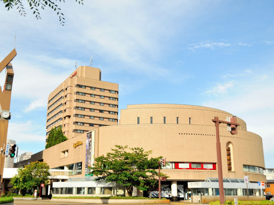 长冈新大谷酒店