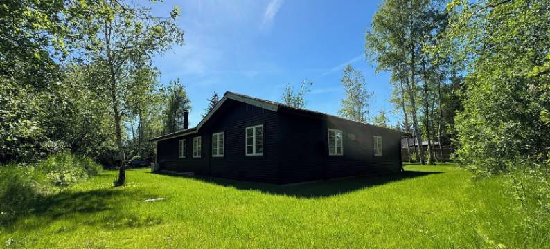 大型装修过的有爱心和灵魂的小屋(Big Renovated Cottage with Soul and Love)图片