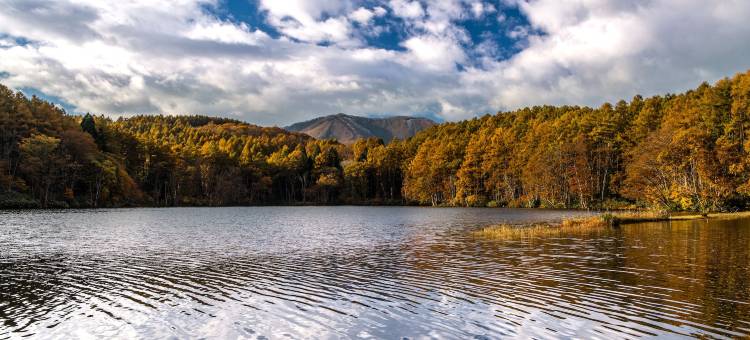 奥克兰旅馆(Lodge Oakland)图片