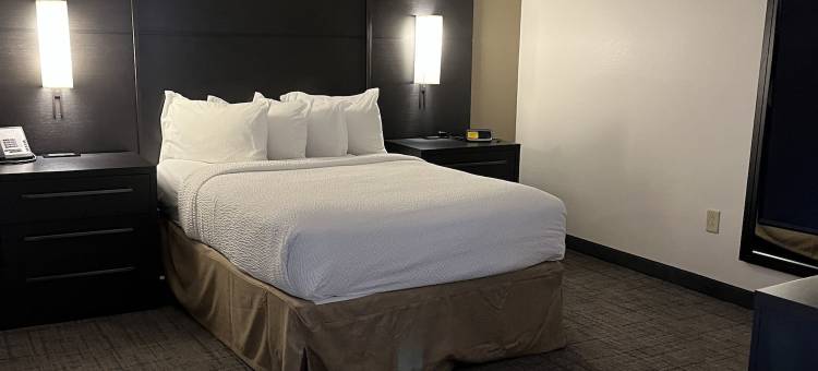 罗利卡瑞索尼斯塔ES套房酒店(Sonesta ES Suites Raleigh Cary)图片