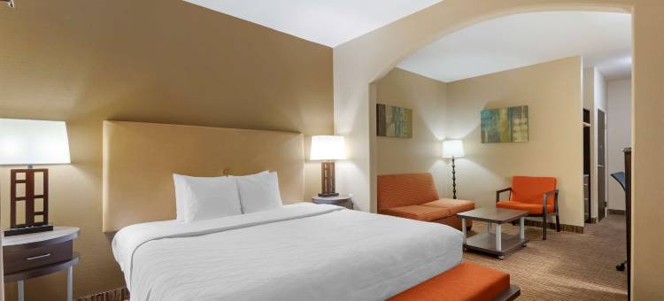 DFW机场贝斯特韦斯特优质套房酒店(Best Western Plus DFW Airport Suites)图片