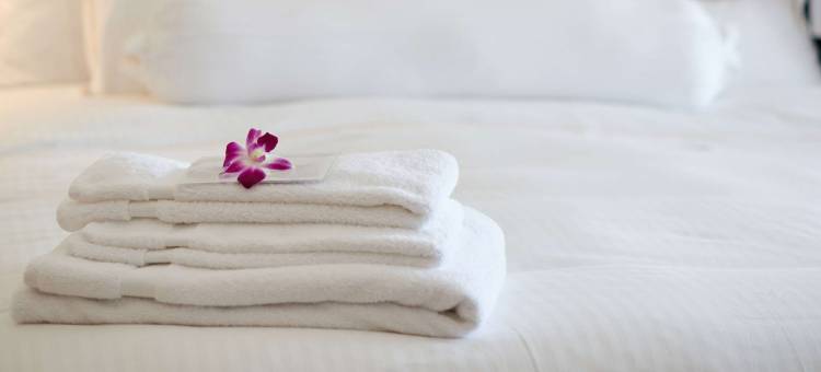 阿尔玛汽车旅馆(Alma Motel)图片