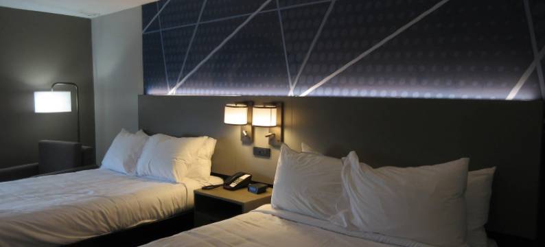 斯普林菲尔德舒适酒店及套房(Springfield Inn)图片