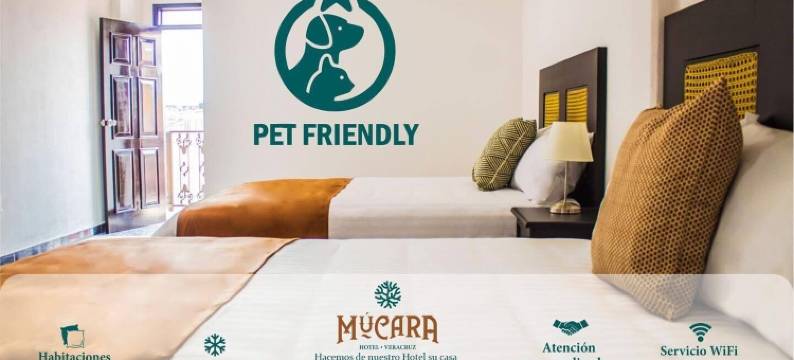 穆卡拉酒店(Múcara Hotel)图片