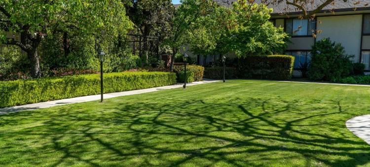 皮卡迪利酒店(Hotel Piccadilly)图片