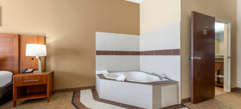 波特舒适套房酒店 - 近印第安纳沙丘(Comfort Inn & Suites Porter Near Indiana Dunes)图片