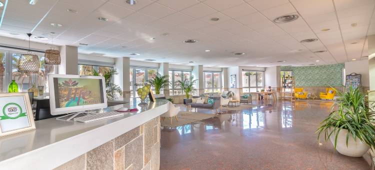 无尾熊花园 LIVVO 酒店(Hotel LIVVO Koala Garden)图片