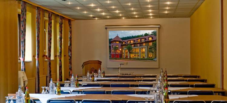 哈比斯坦恩哈尔茨酒店(Hotel Habichtstein)图片